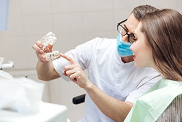 Dentist showing a sample jaw with implants to patient during consultation